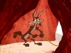 کایوت و رودرانر (فصل 1 - قسمت 5)